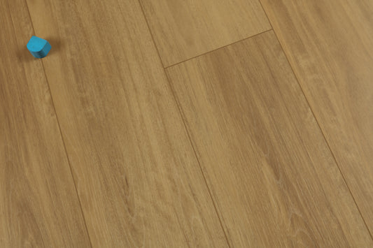 F05-Blackbutt